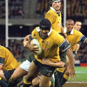 Wallabies rugby team