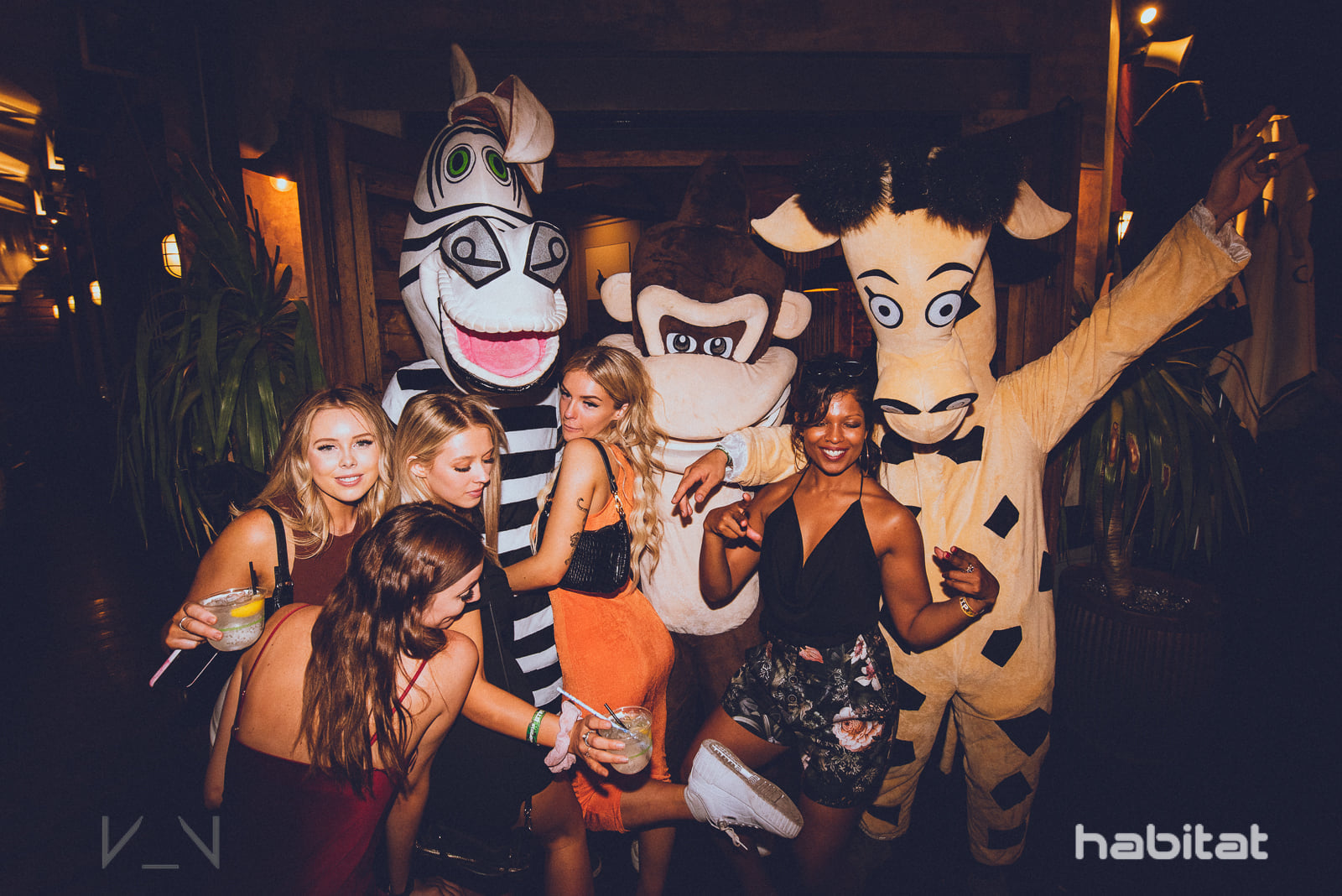 Habitat Garden Party feat Choomba