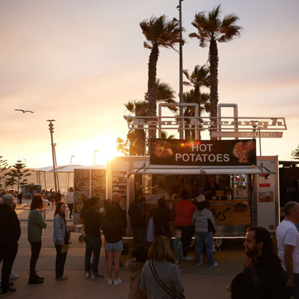 SSM Sunset through palms