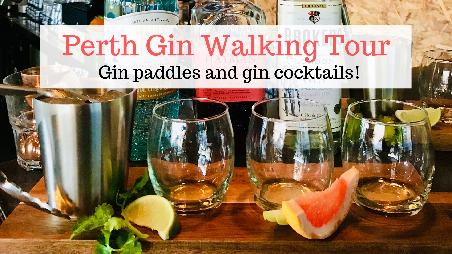 perth gin walking tour
