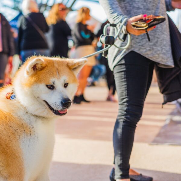 2018.11..02 SCARB MARKETS-54-web