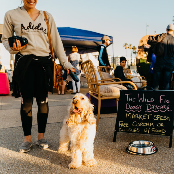 2019.11 SUNSET MARKETS-1