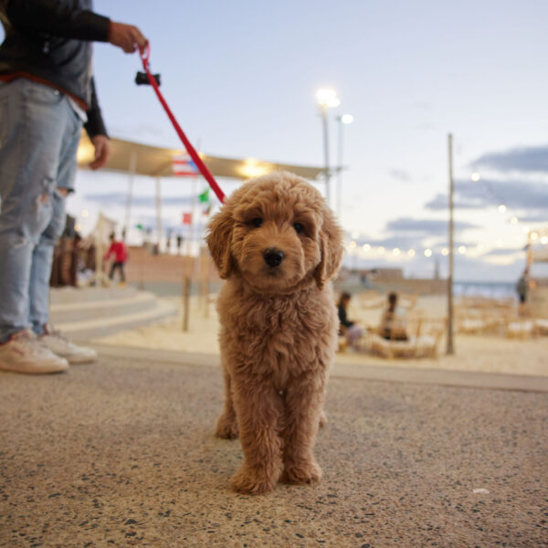 SSM-2021-Season-Open-211108-064