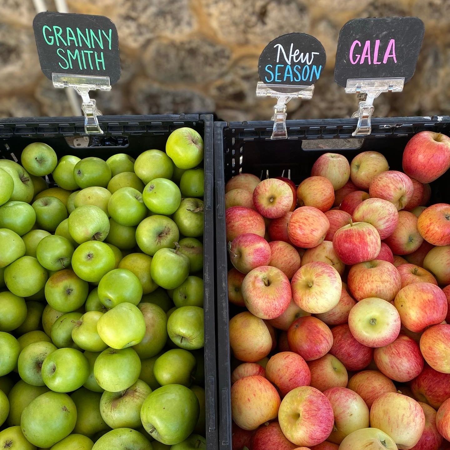 Autumn Farmer’s Market