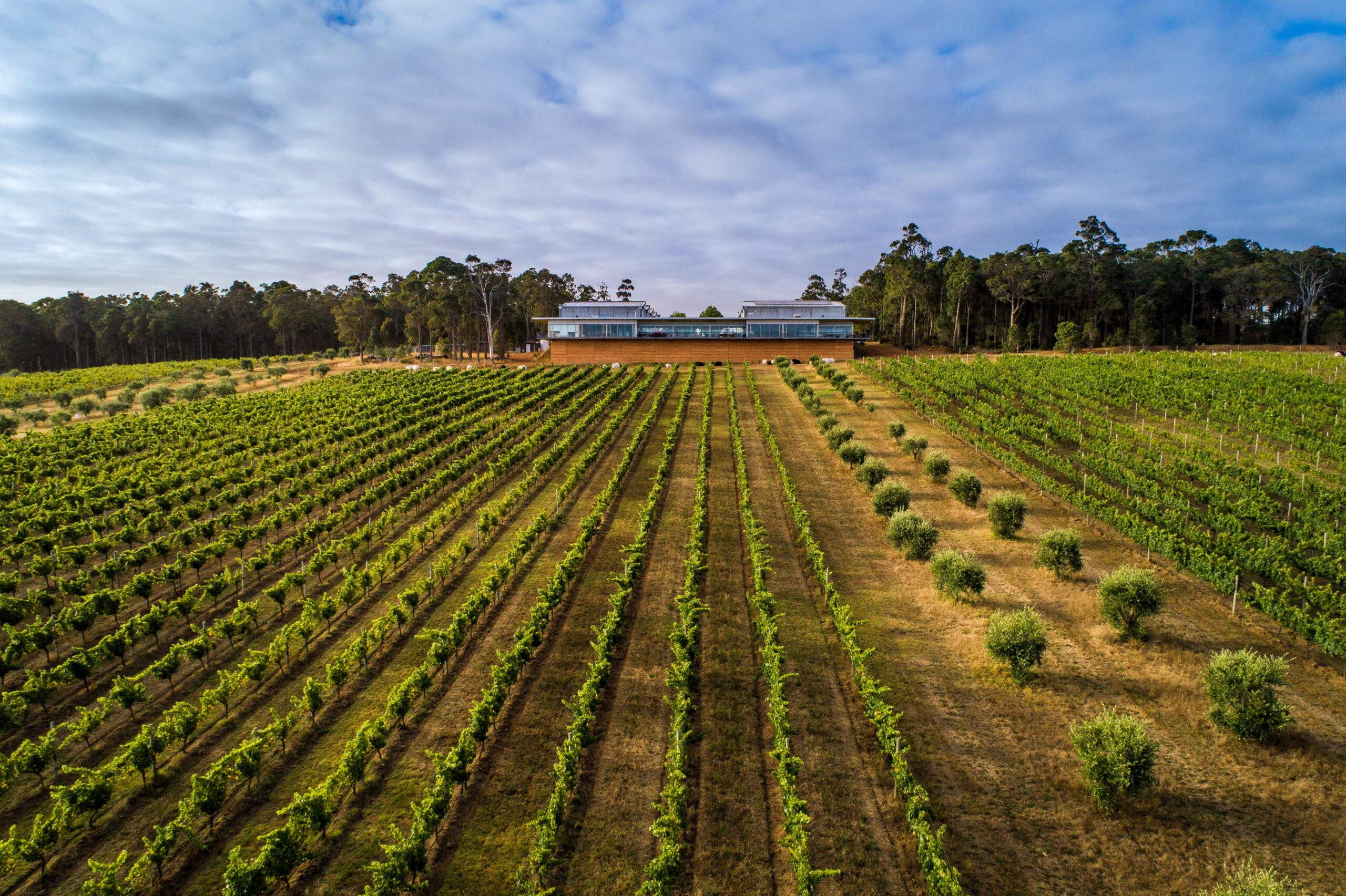 Night of Chardonnay hits South Perth Foreshore