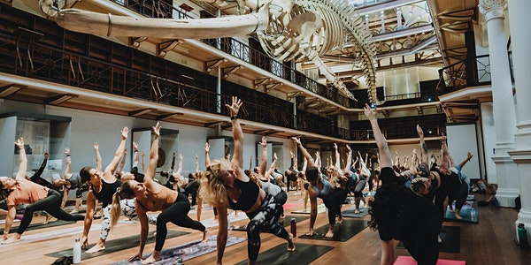 Yoga at the Museum